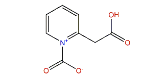 1-Carboxymethylnicotinic acid